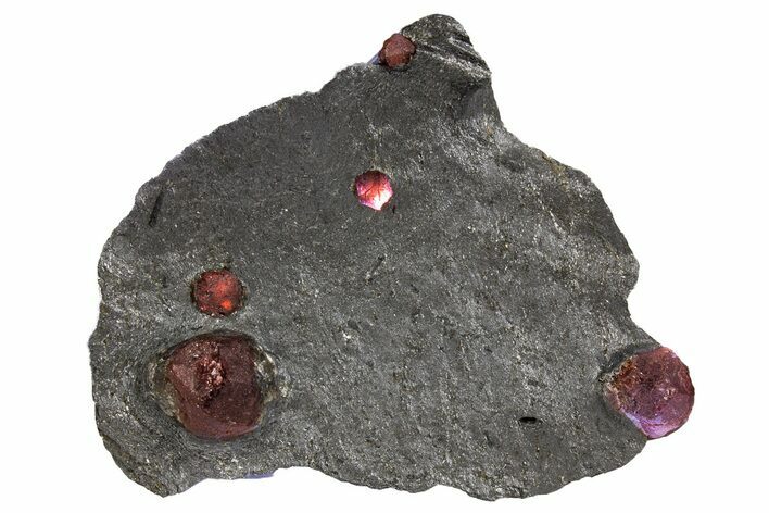 Plate of Five Red Embers Garnets in Graphite - Massachusetts #301084